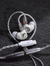 Sagin Selven review photo