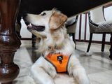 Swasti Jain review photo