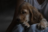 Bon review photo