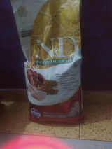 Samarth Mittal review photo