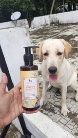 Bruno S review photo