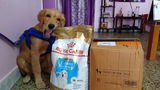 Meera S review photo