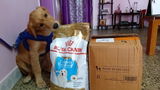 Meera S review photo