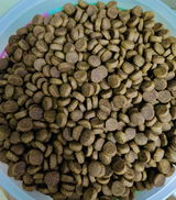 harsha review photo