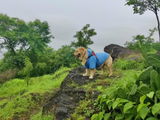 Prasanna Walimbe review photo