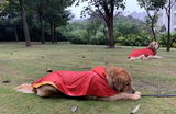 Shukla Haldar review photo