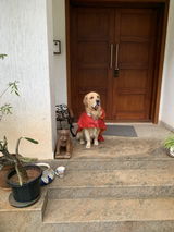 Shukla Haldar review photo