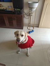 Harsha review photo