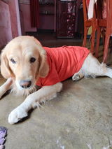 Ranjana Chatterjee review photo