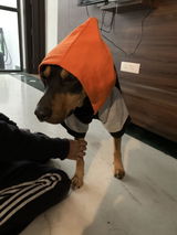 Ani review photo