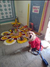 DrJyoti shinde review photo