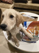 Nidhi Gupta review photo