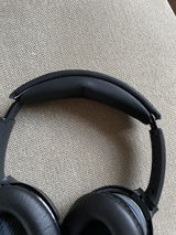 paul review photo