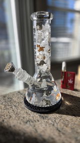 Ryan D review photo