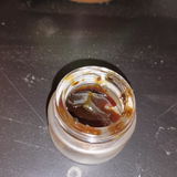 Noah H review photo