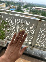 Jiya review photo