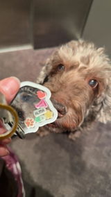 Etsy customer review photo