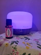 Sheri Bo Berry review photo