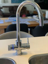 Camelia S. review photo