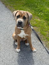 Emilio review photo