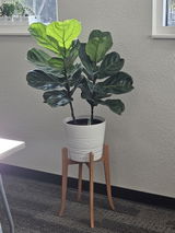 Etsy customer review photo