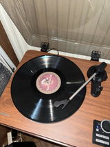 Shania review photo