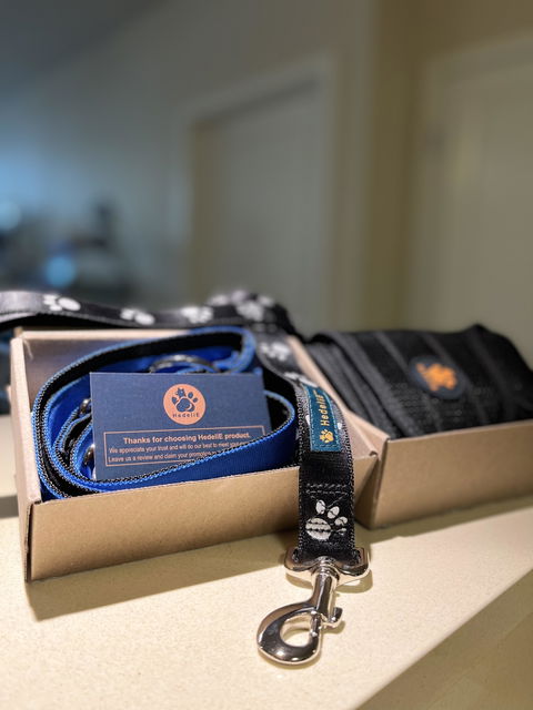 Multifunctional Dog Leash
