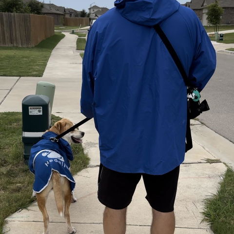 Buckle-Up Reflective Dog Raincoat with Removable Belt Set