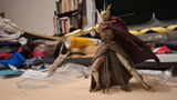 Gonçalo Kotowicz review photo