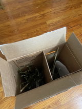 S.B. review photo