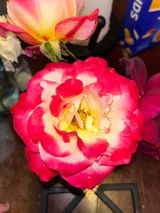 Juanita review photo