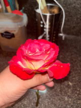Juanita review photo