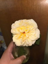 Juanita review photo