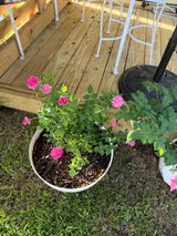 Kenna s. review photo