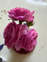 Ratna W. review photo