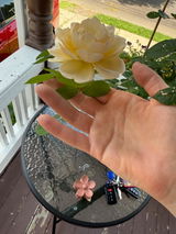 Anonymous review photo