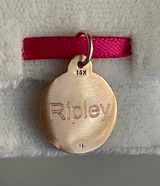 Amy S. review photo