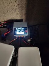 Rex S. review photo