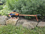 Nathan R. review photo