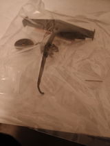 AJ review photo