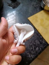 Sanu review photo