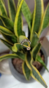 Hoàng Phúc review photo
