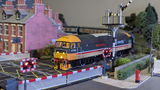 Damian G. review photo