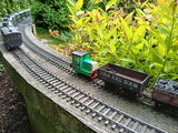 Ian P. review photo