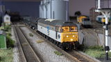 Damian G. review photo