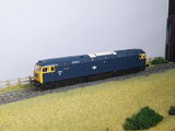 David W. review photo