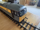 STEVE S. review photo