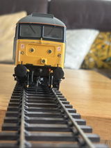 STEVE S. review photo