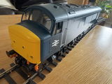 STEVE S. review photo