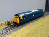 David W. review photo
